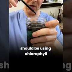 Could chlorophyll actually calm an overstimulated nervous system?