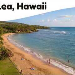 10 Best Things to Do in Wailea, Hawaii