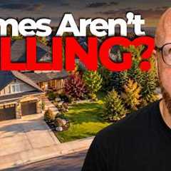 Calgary Real Estate Market Update - October 2026