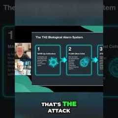 Fast vs. Slow Allergies: How Your Immune System Attacks #shorts