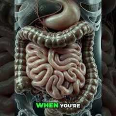 Period Cramps or Gut Trouble? Know the Difference #shorts
