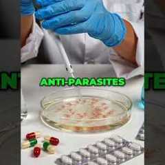 Could Cancer Be Linked to Fungus or Parasites? #shorts