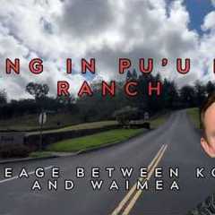 Puʻulani Ranch Hawaii | Big Island Neighborhood Tour, Homes, Acreage &amp; Lifestyle