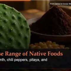 From Cactus to Cocoa: Mexico's Native Foods Explained