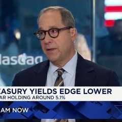 Investors should think about diversifying their exposure beyond AI, says Neuberger's Joe Amato