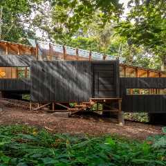 They Designed This 570-Square-Foot Ecuadorian Cabin While It Was Being Built
