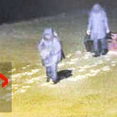 RCMP release new video of migrant interception at Canada-US border