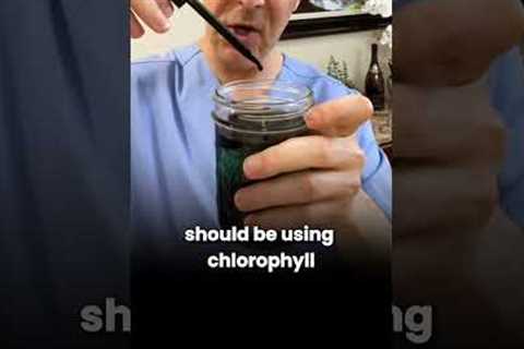 Could chlorophyll actually calm an overstimulated nervous system?