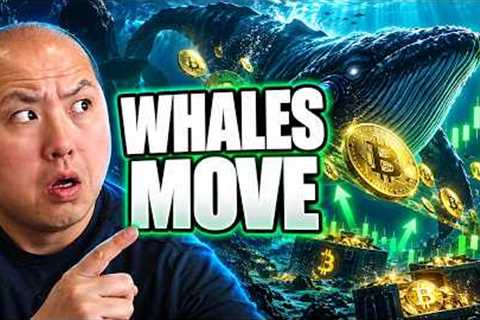 Bitcoin Whales Are Quietly Making Their Move