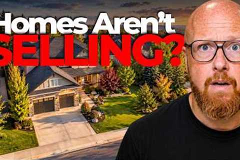 Calgary Real Estate Market Update - October 2026