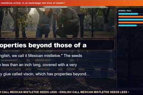 Mexico's mistletoe crisis: Is el muérdago the kiss of death?