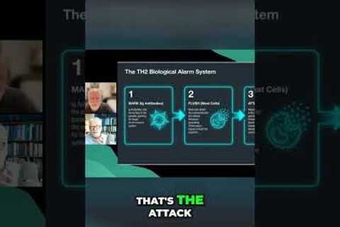 Fast vs. Slow Allergies: How Your Immune System Attacks #shorts
