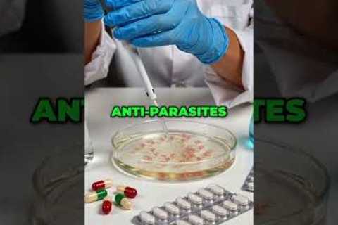 Could Cancer Be Linked to Fungus or Parasites? #shorts