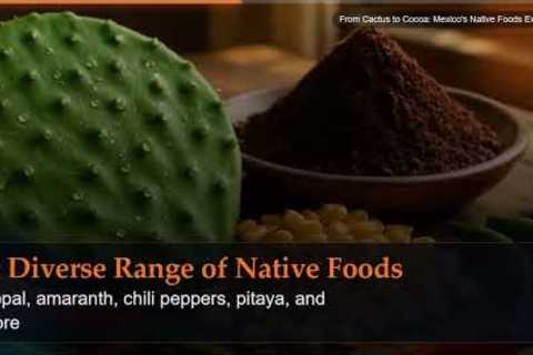 From Cactus to Cocoa: Mexico's Native Foods Explained